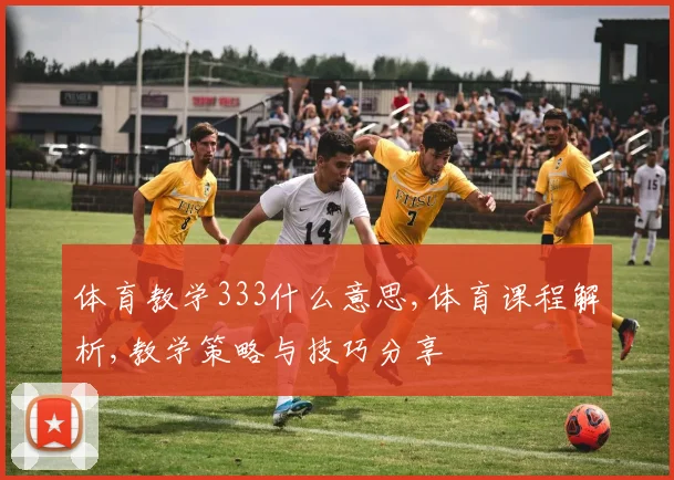 体育教学333什么意思,体育课程解析,教学策略与技巧分享