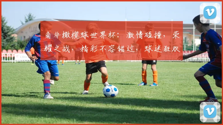 南非橄榄球世界杯：激情碰撞，荣耀之战，精彩不容错过，球迷狂欢盛宴