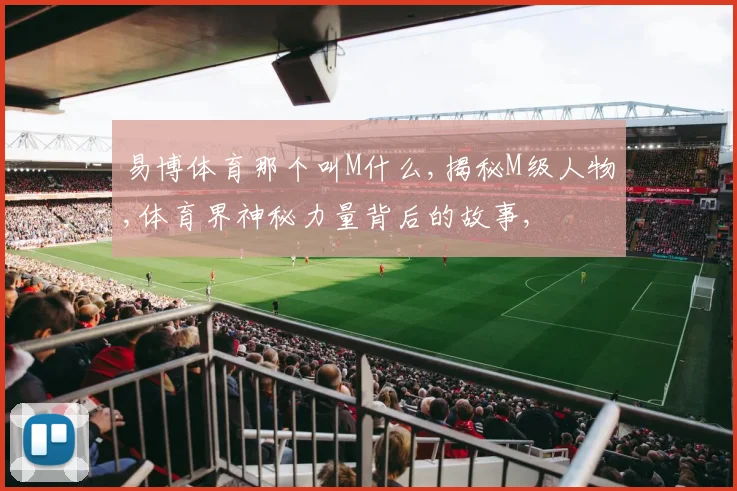 易博体育那个叫M什么,揭秘M级人物,体育界神秘力量背后的故事,