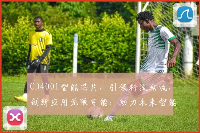 CD4001智能芯片，引领科技潮流，创新应用无限可能，助力未来智能生活。