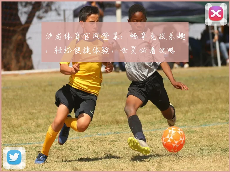 沙龙体育官网登录，畅享竞技乐趣，轻松便捷体验，会员必看攻略